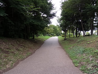 芹沢公園の園路